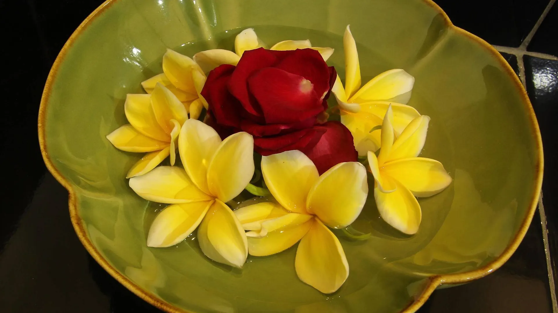 Bed & Breakfast Frangipani Homestay Nusa Dua